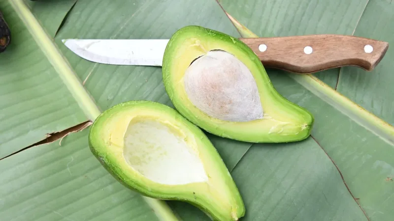 Sete alimentos que ajudam a equilibrar o colesterol, segundo nutricionistas