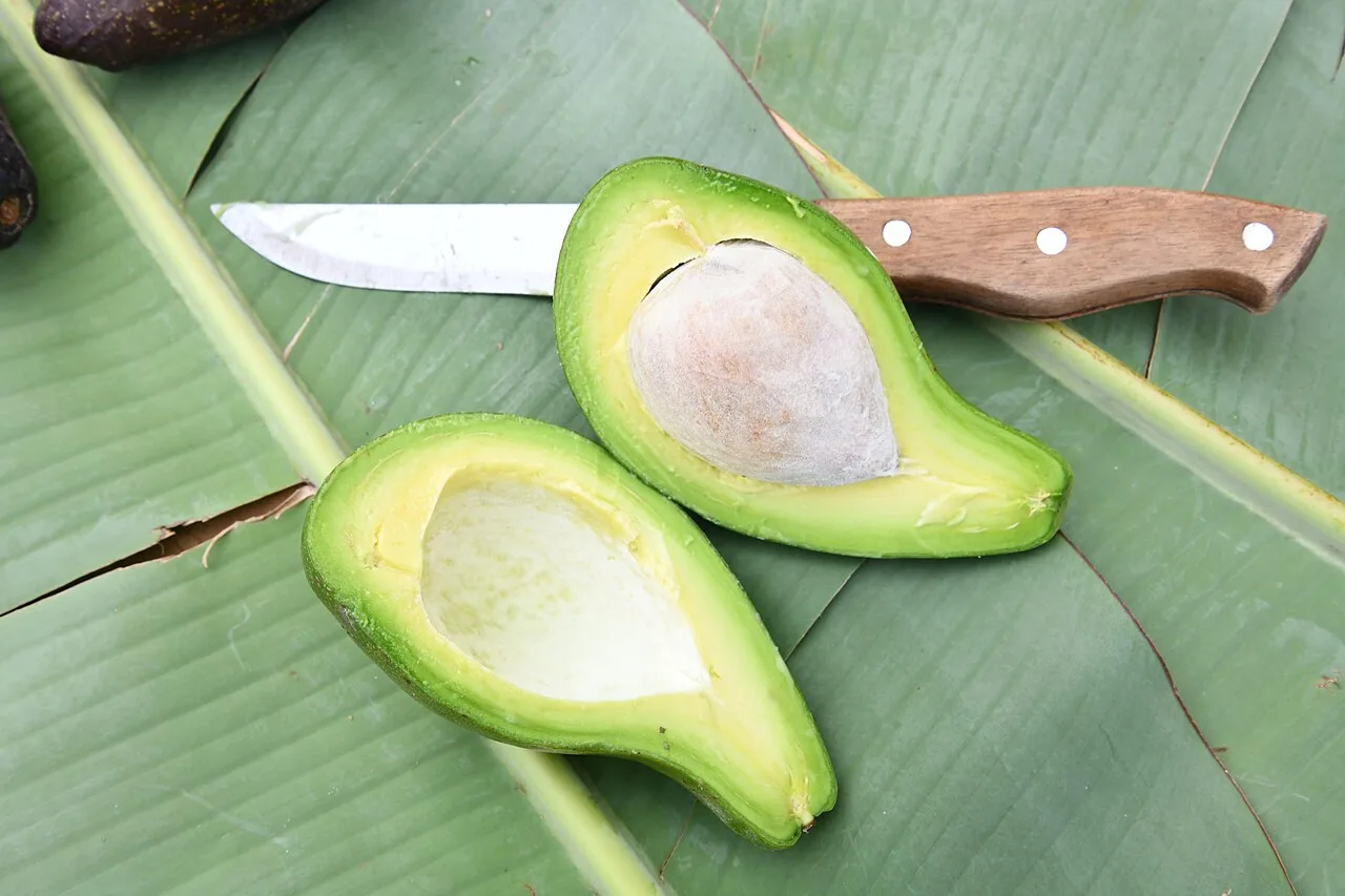 Sete alimentos que ajudam a equilibrar o colesterol, segundo nutricionistas