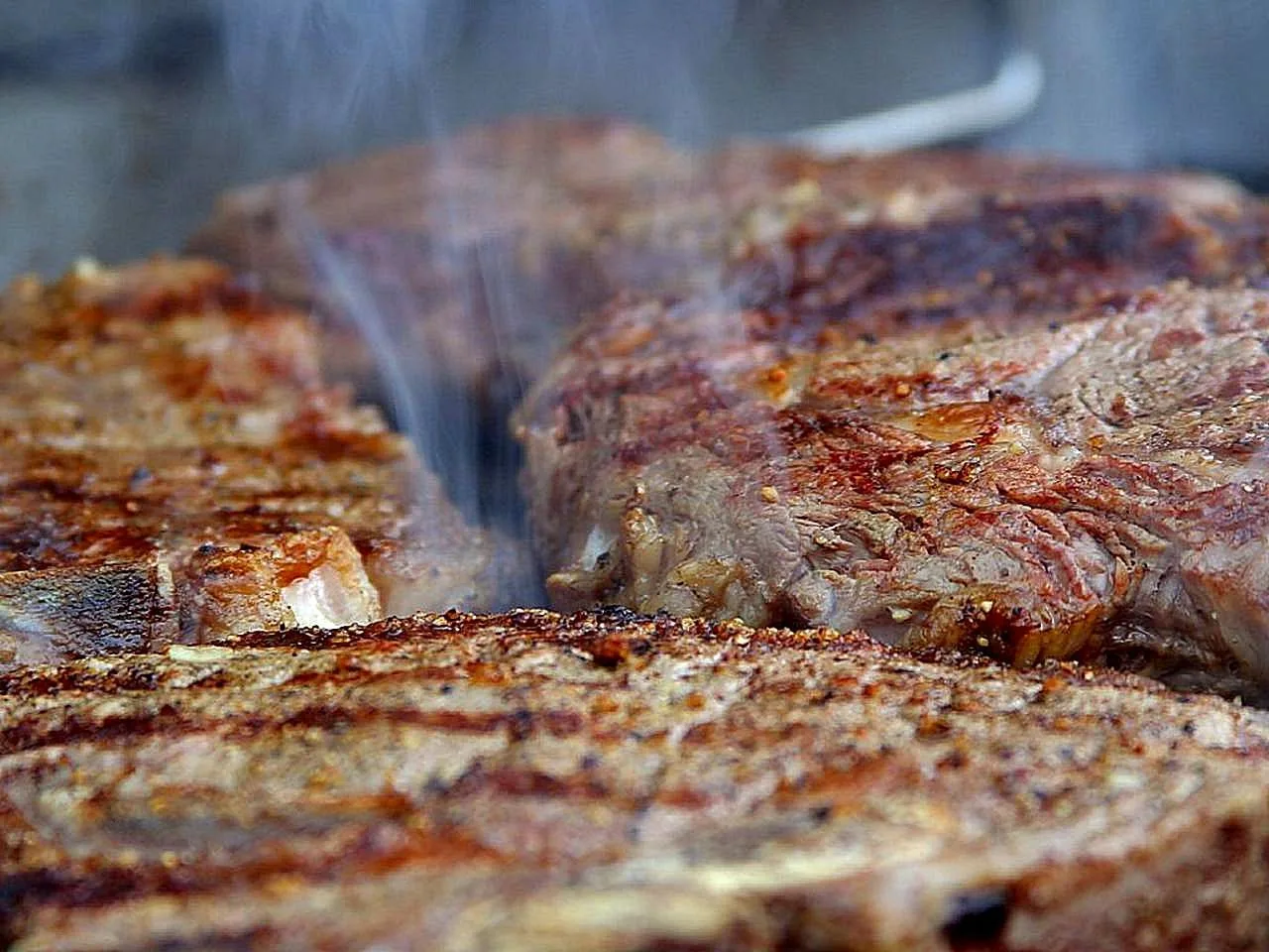 Só carne no prato? Especialistas apontam os riscos da dieta carnívora