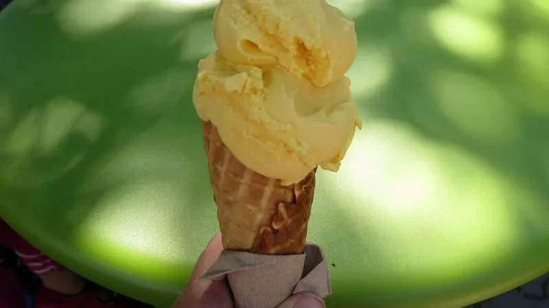 Sorbet, gelato ou sorvete? Veja as diferenças e quais opções são mais leves