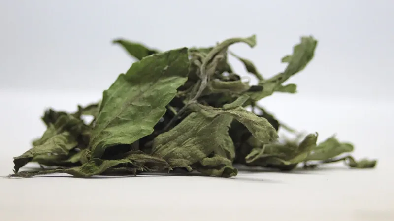Stevia, xilitol, eritritol, mel e agave: prós e contras de cada alternativa ao açúcar