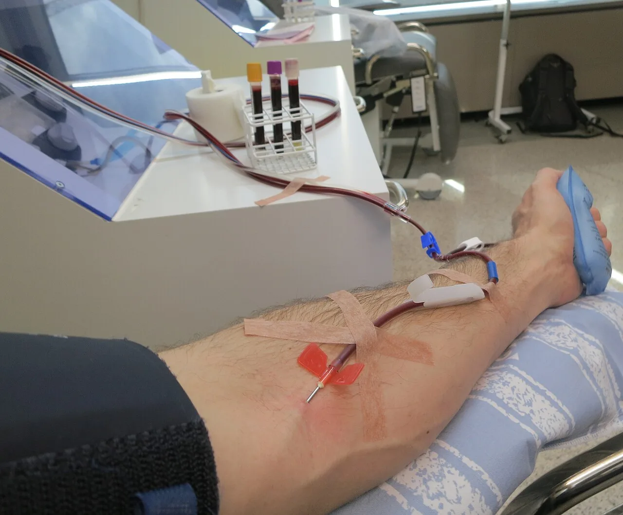 Teve dengue ou tomou a vacina? Veja quanto tempo esperar para doar sangue