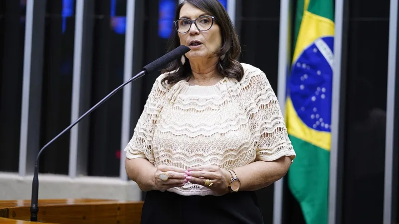 TRE-DF manda Bia Kicis e loja de roupas retirarem outdoors considerados “ardil” eleitoral