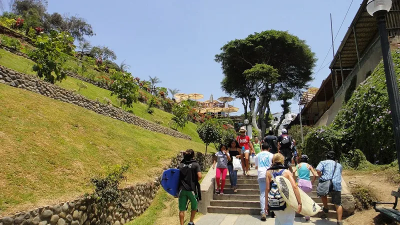 Trocar o elevador pela escada pode proteger o coração, indica análise com quase 500 mil pessoas