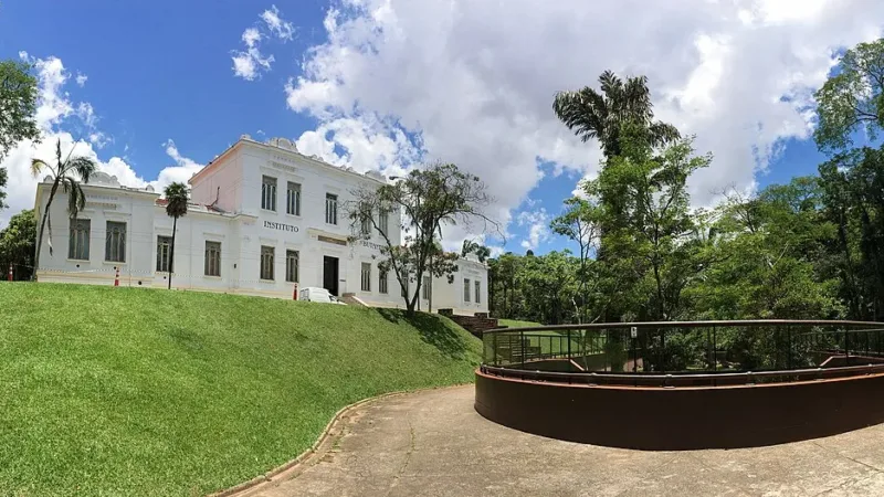 Vacina 100% nacional e de dose única contra a dengue terá produção em larga escala