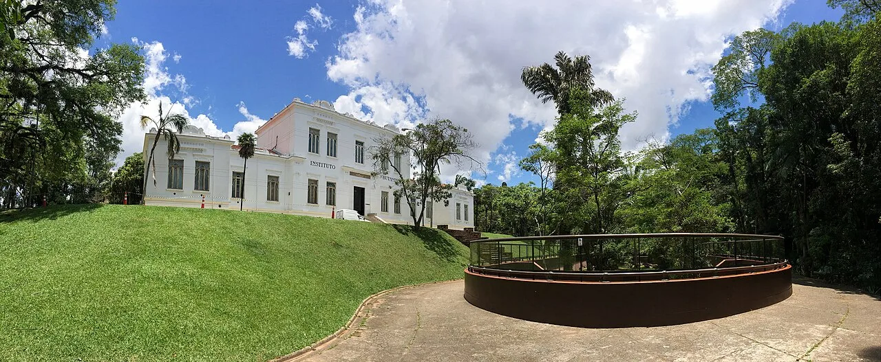 Vacina 100% nacional e de dose única contra a dengue terá produção em larga escala