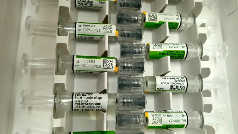 Vacina contra a gripe é liberada para todos a partir de 6 meses nas UBSs do DF