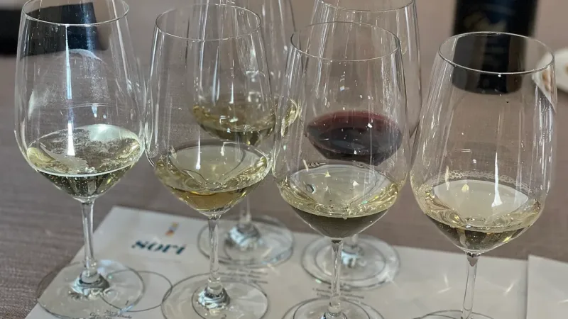 Vinícola Brasília, no PAD-DF, estampa Cobogó e Pilotis em rótulos de vinhos da capital