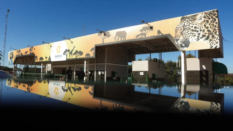 Zoológico de Brasília fecha ao público no domingo de eleições