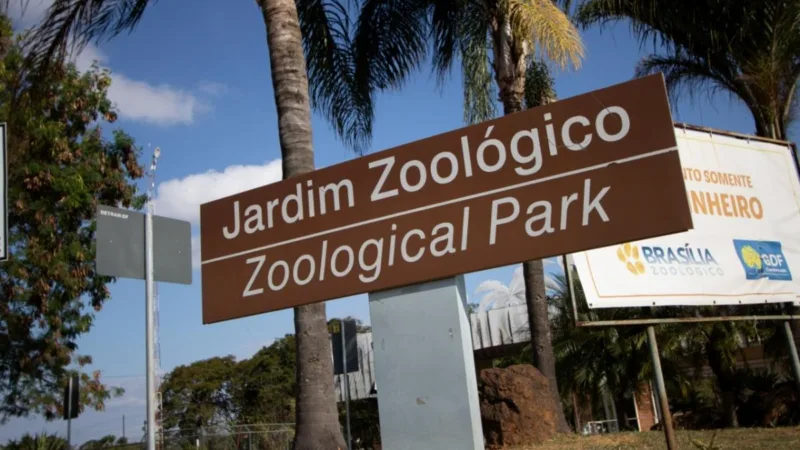 Criança de 5 anos picada por escorpião no Zoológico de Brasília recebe alta no mesmo dia