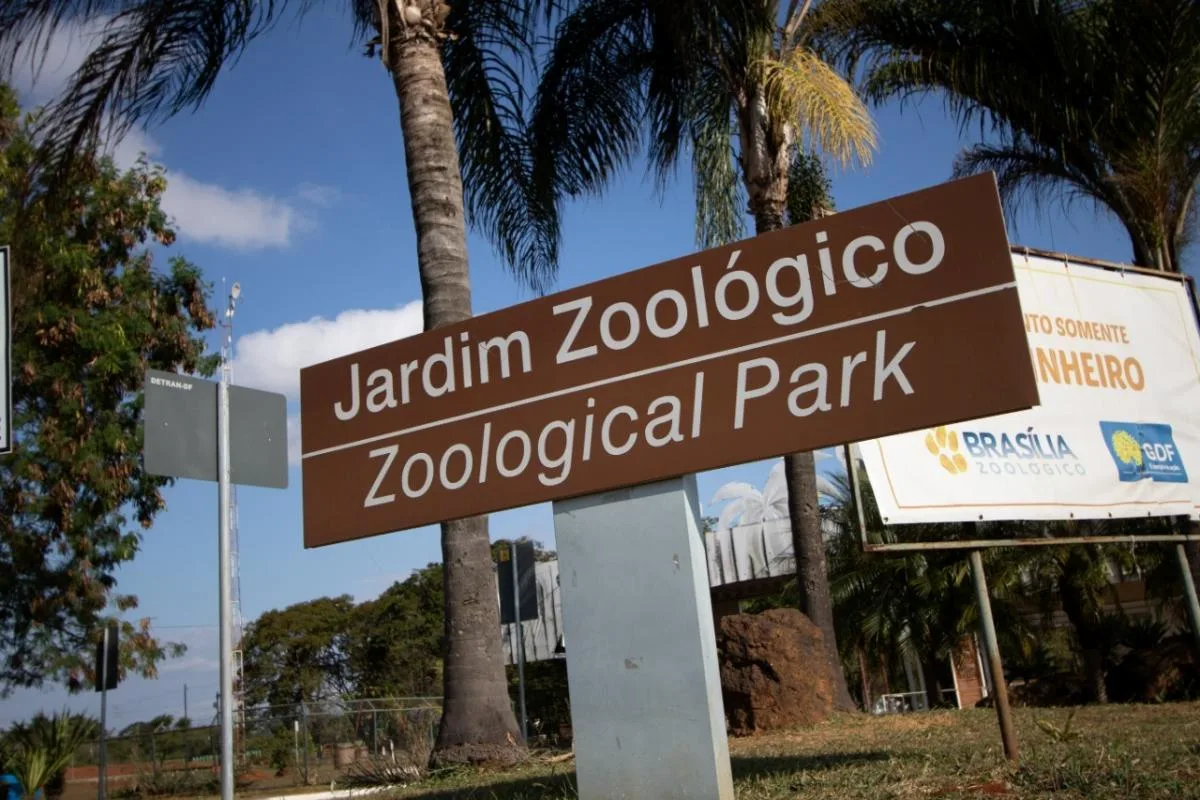 Criança de 5 anos picada por escorpião no Zoológico de Brasília recebe alta no mesmo dia