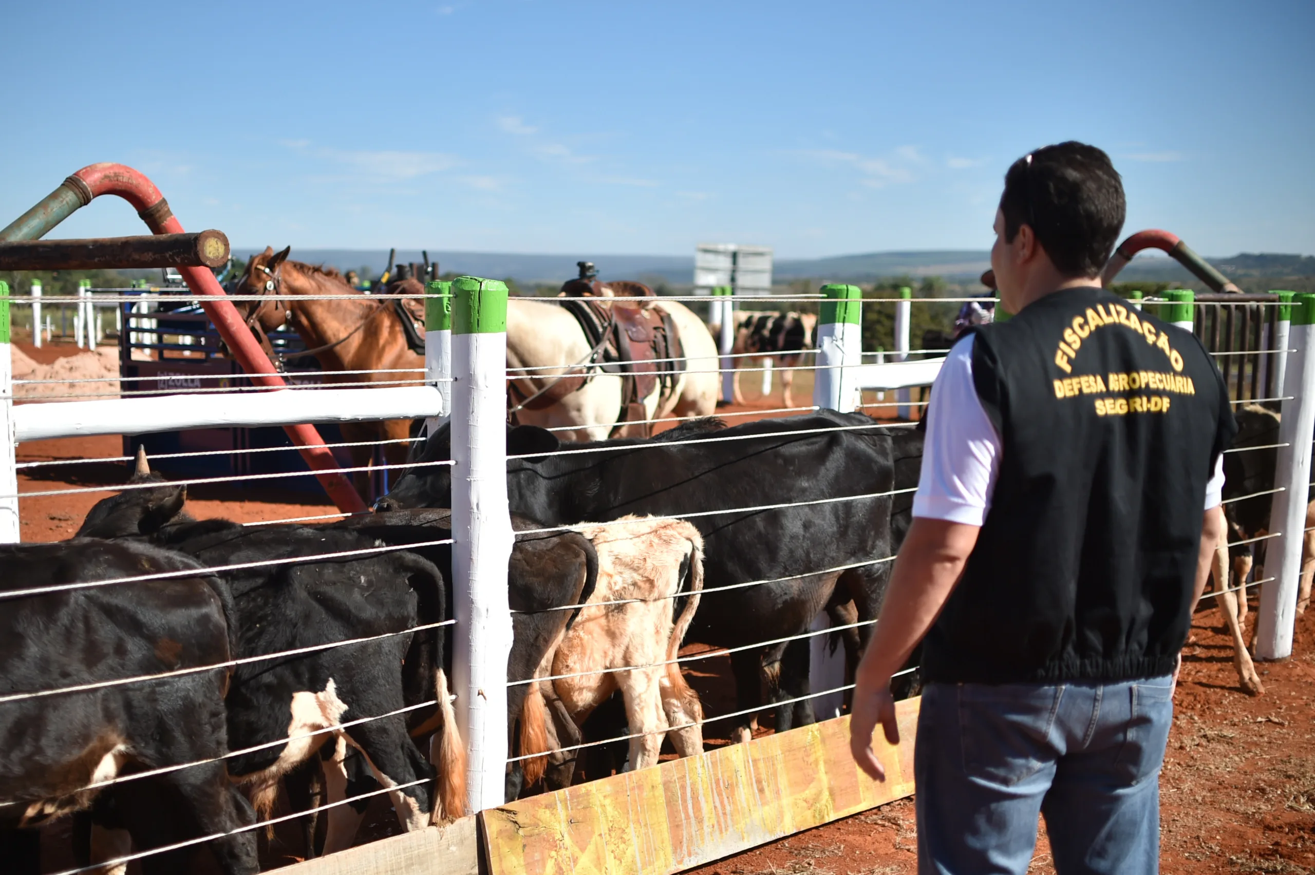 GDF cria equipe gestora para reforçar a defesa sanitária animal no DF