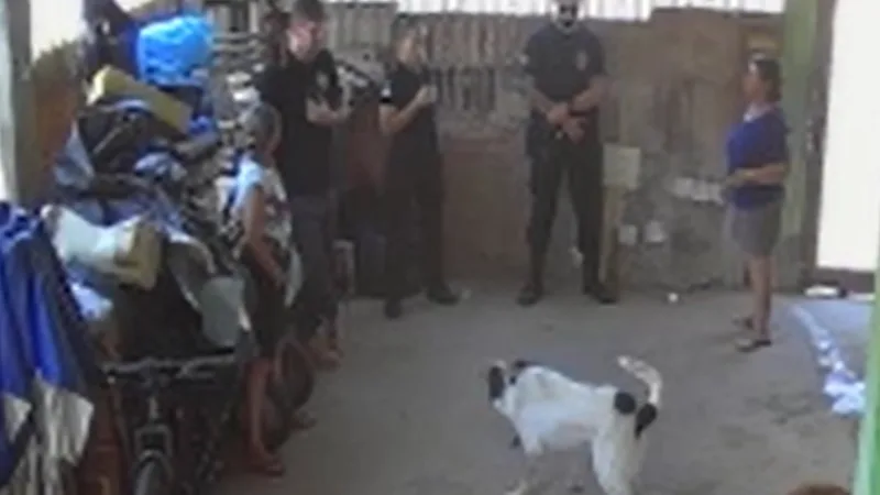 Cachorro torturado com taser é resgatado pela PCDF na Vila Planalto