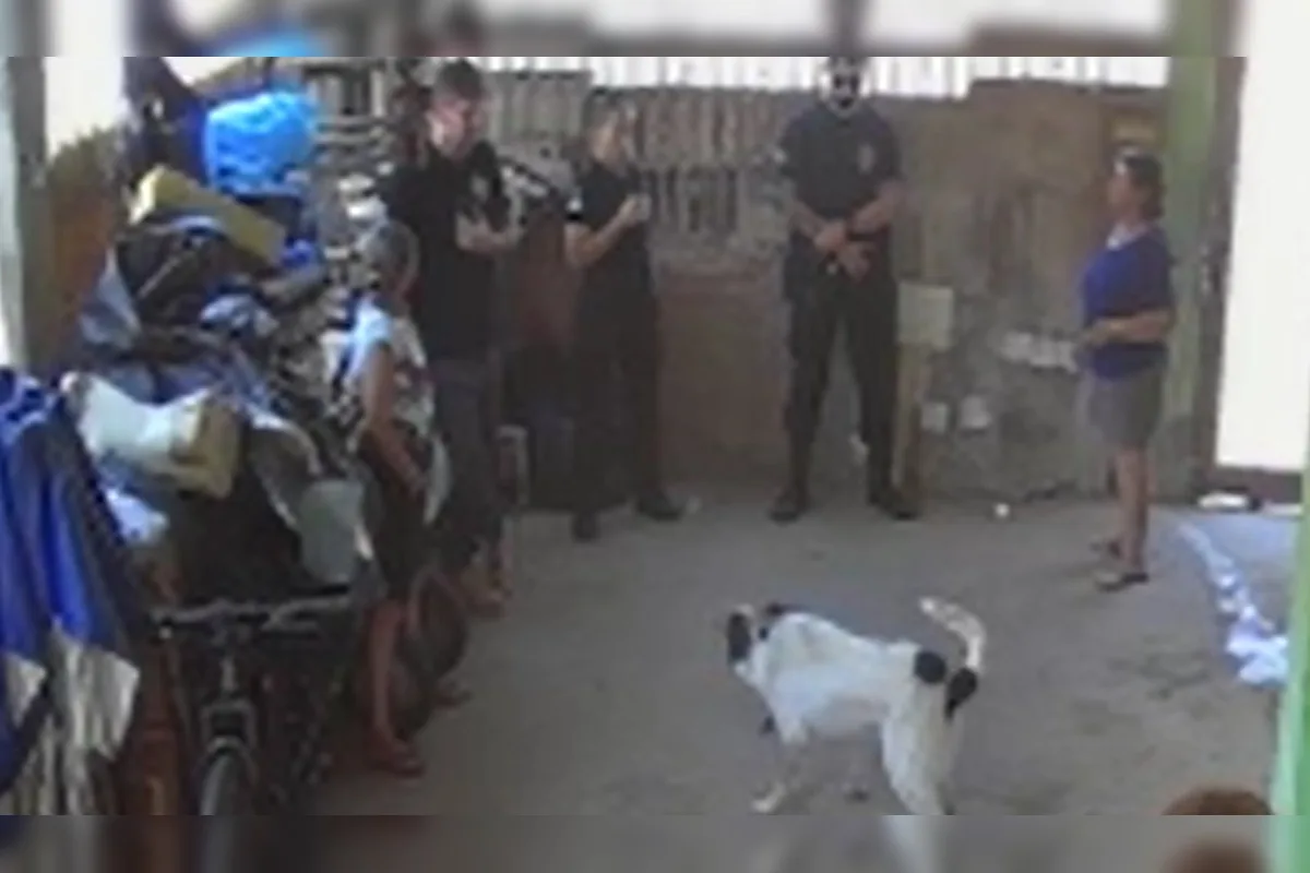 Cachorro torturado com taser é resgatado pela PCDF na Vila Planalto
