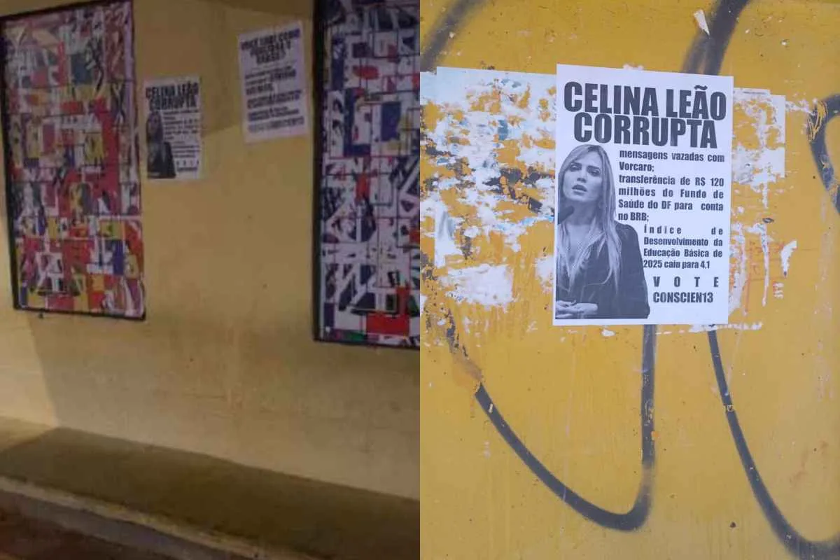 Juiz do TRE-DF manda Celina Leão apagar post que associa o PT a cartazes ofensivos