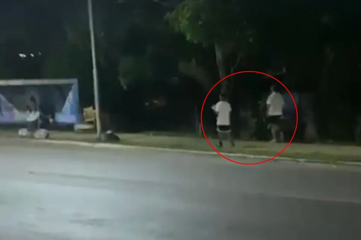 PCDF investiga dupla suspeita de colar cartazes com ofensas a Celina Leão em paradas de ônibus de Sobradinho
