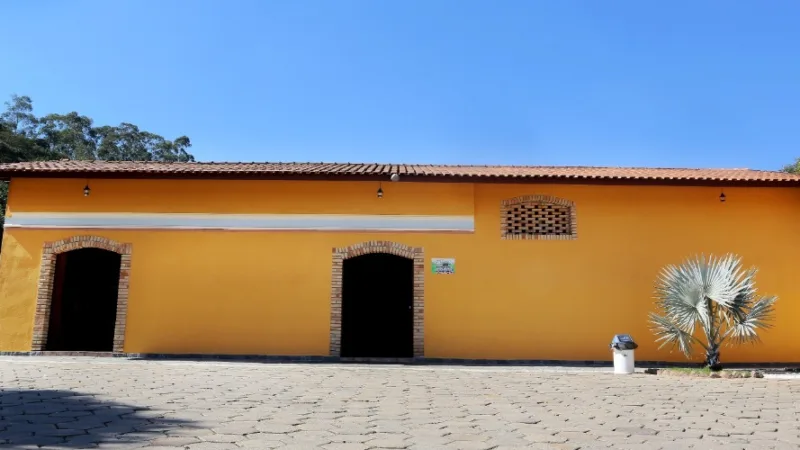 Vinhos de Jundiaí: uva, vinícolas e a rota do interior paulista