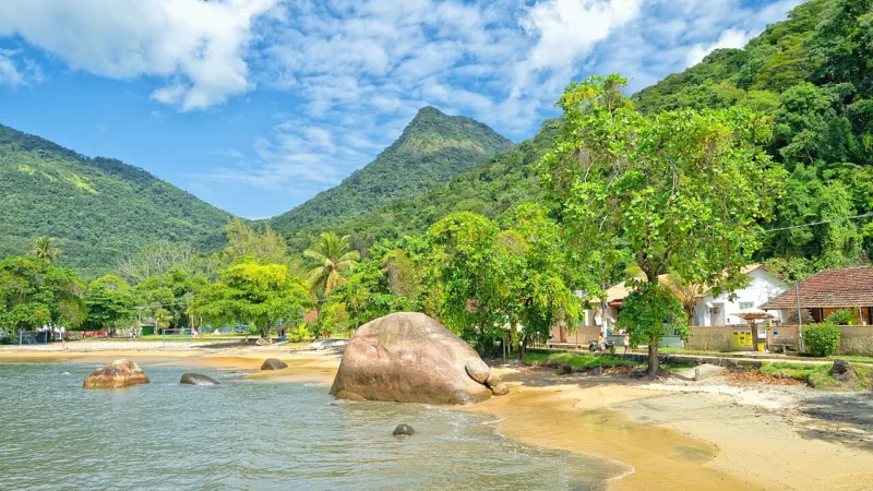 Vieiras de Ilha Grande: o molusco cultivado no mar de Angra