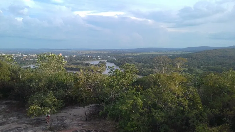 Macarrão de comitiva: a panela única dos peões do Pantanal de MS