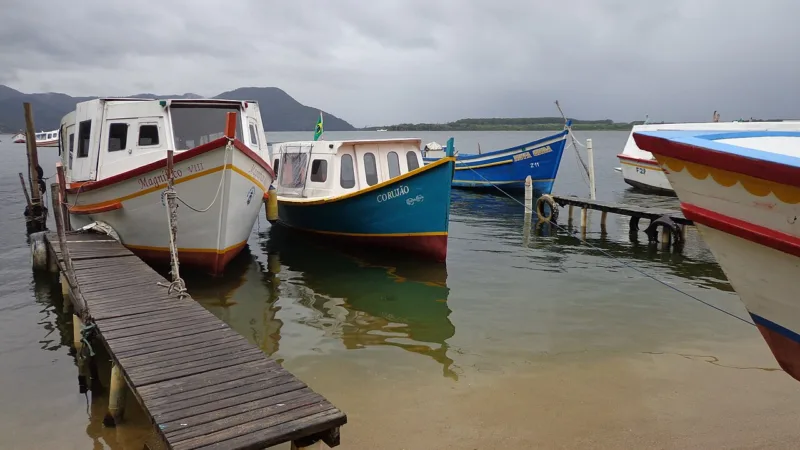 Sequência de camarão em Florianópolis: tradição da Costa da Lagoa