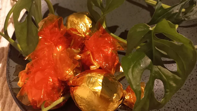 Bombons paraenses de cupuaçu, açaí, bacuri e castanha