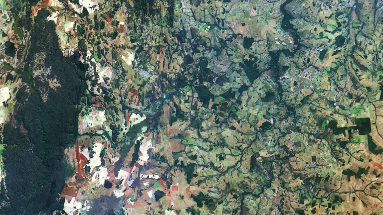 Jaracatiá - imagem ilustrativa