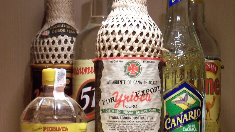 Cachaça do Brejo paraibano: a herança da cana em Areia