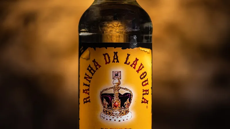 Cachaça de alambique em Sergipe: o cobre dos engenhos até o copo