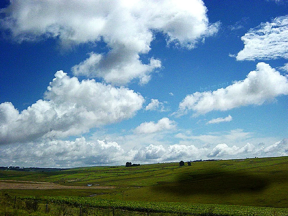 Virado tropeiro (castropeiro) - imagem ilustrativa