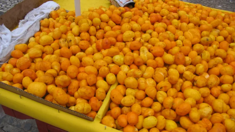 Pequi: a fruta de espinhos e aroma forte que marca Goiás