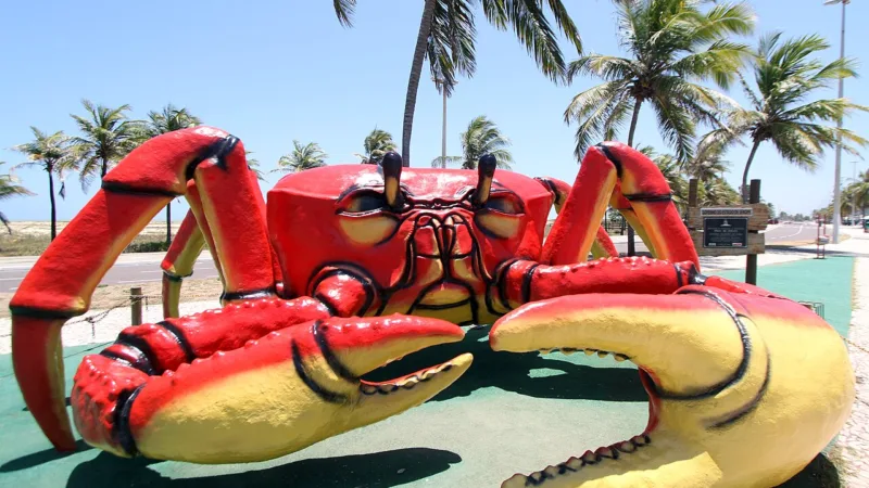 Caranguejo, guaiamum e aratu: os crustáceos do mangue em Sergipe
