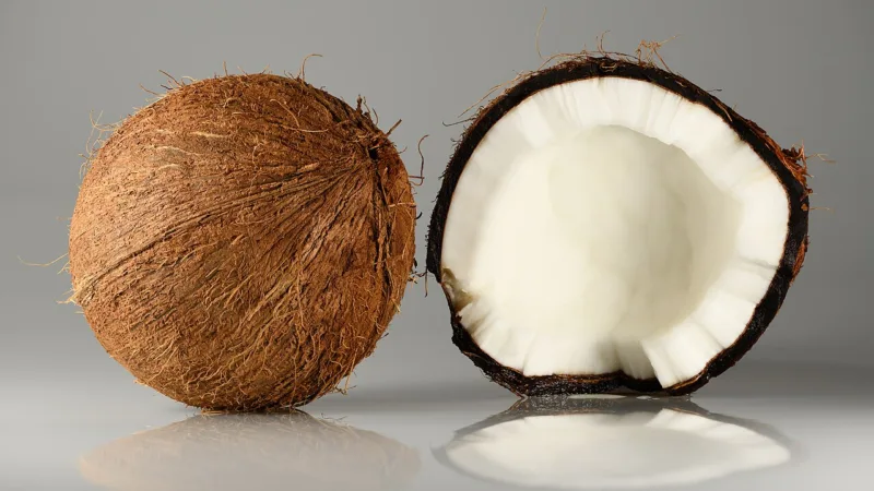 Licor de coco: o cremoso das festas juninas, do coqueiral ao cálice