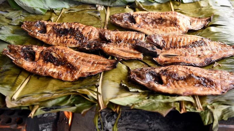 Tambaqui assado em Rondônia: o peixe das brasas e do festival