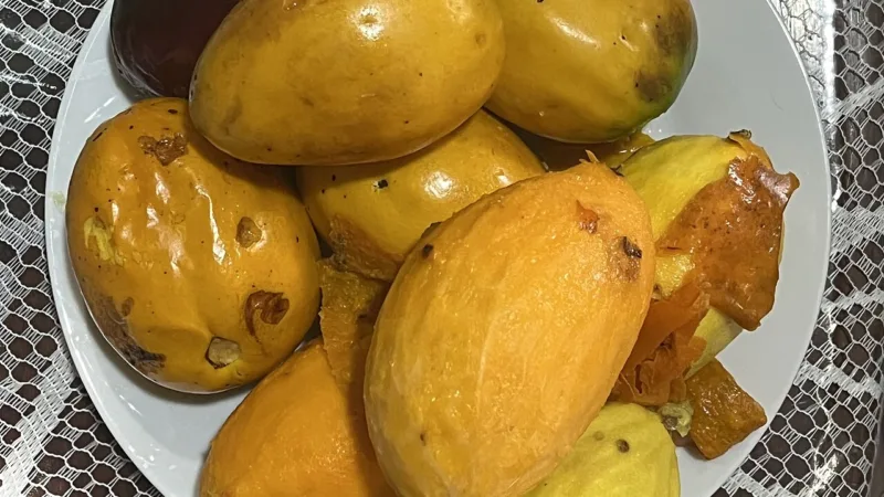 Umari: a fruta de nome tupi das matas do Pará e do Amapá