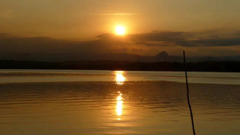 Muma de siri: o cozido de mangue da Ilha das Caieiras, no ES