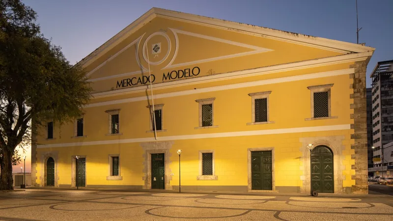 Lambreta na Bahia: o molusco de mangue servido em bares de Salvador