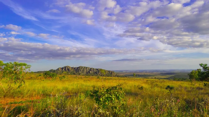 Cervejas artesanais do Cerrado: Pirenópolis e Goiânia no copo