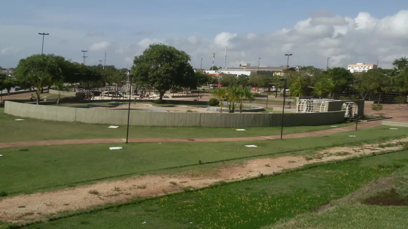 Pacu na folha de bananeira: peixe assado no embrulho verde