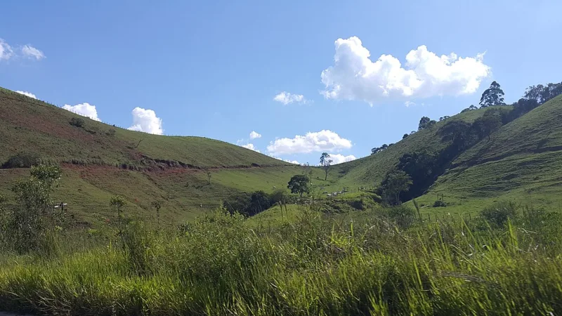 Afogado caipira: o ensopado das festas do Vale do Paraíba