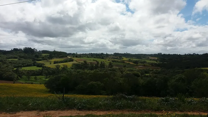 Carne do Pampa Gaúcho: a IP da Campanha Meridional