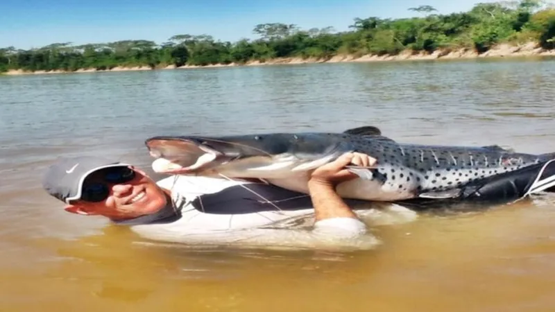 Moqueca de pintado: o ensopado de peixe de rio e a mesa de Teresina