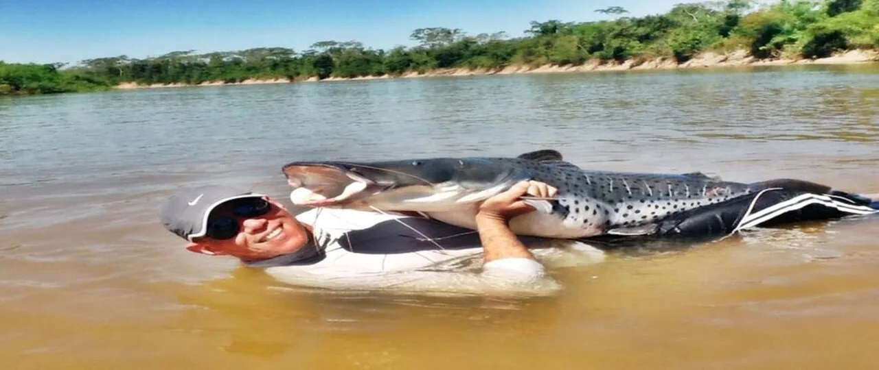 Peixada pantaneira: o pintado e a cozinha de rio de Mato Grosso do Sul
