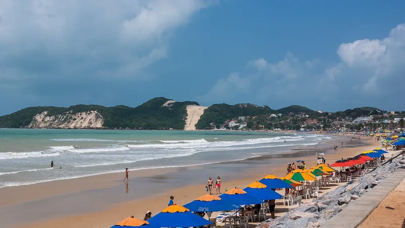Camarão no RN: do cultivo no litoral ao prato em Natal