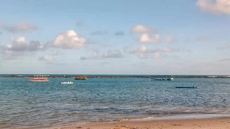 Chiclete de camarão: o prato que nasceu na Praia do Francês