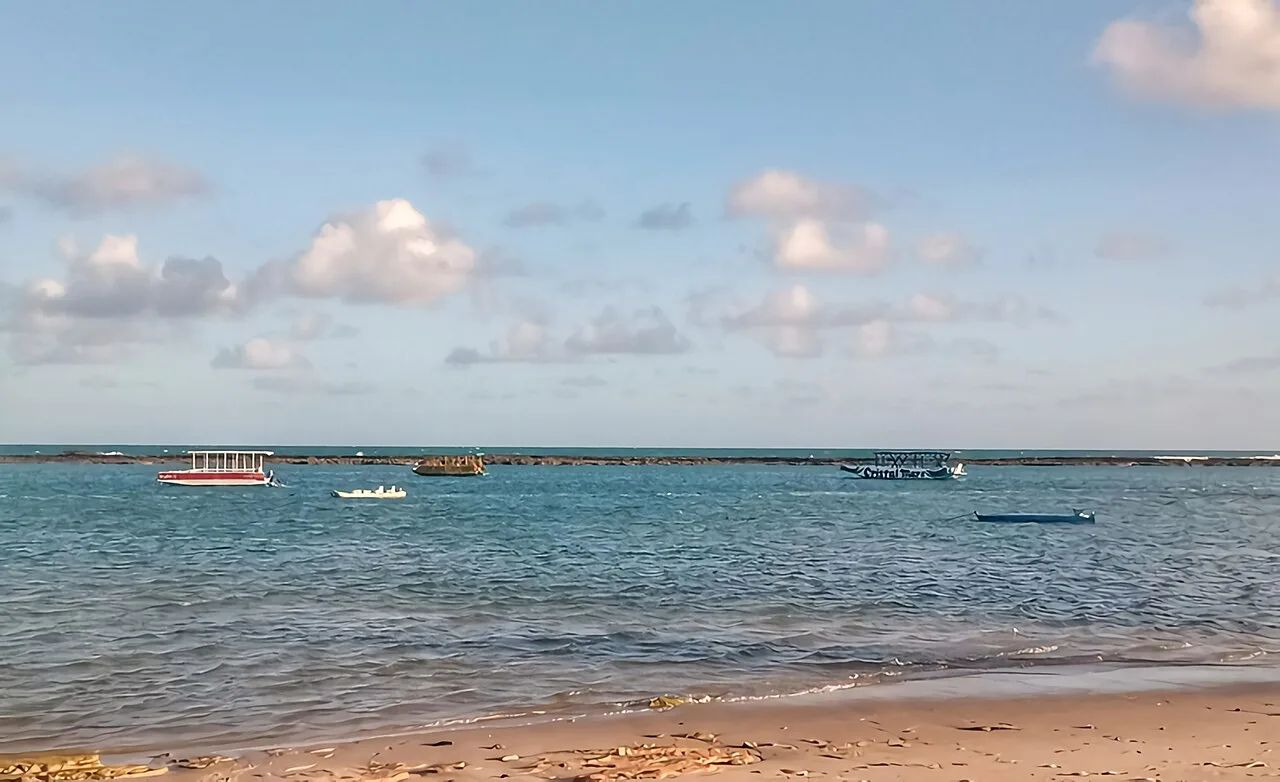Chiclete de camarão: o prato que nasceu na Praia do Francês