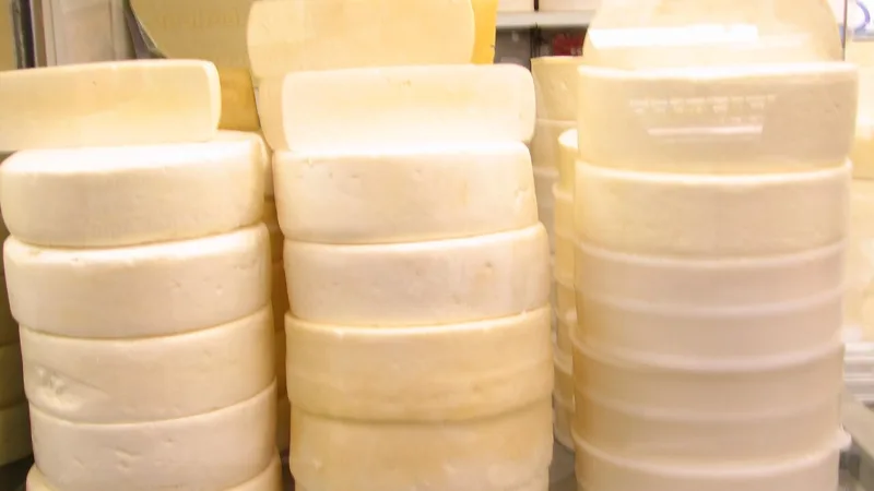 Queijo Canastra: tradição da serra com selo de procedência
