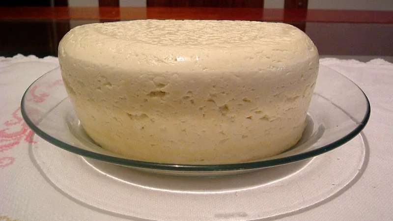 Queijo minas frescal: o queijo branco e macio do café mineiro