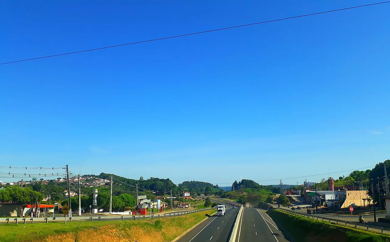Café do Norte Pioneiro, o grão paranaense com selo de origem