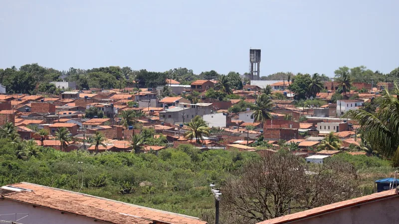Mininico de carneiro: o prato de miúdos do sertão baiano
