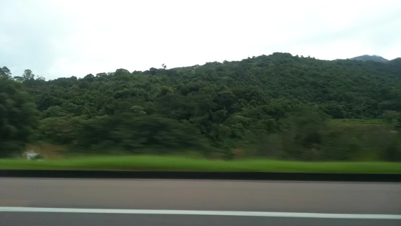 Goiaba de Valinhos: a fruta vermelha do Circuito das Frutas